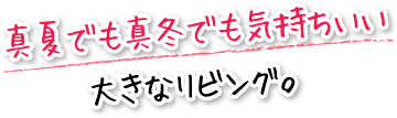 真夏でも真冬でも気持ちいい大きなリビング。