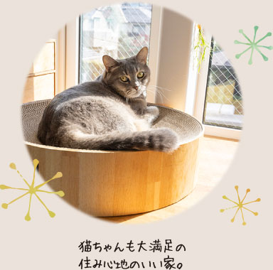 猫ちゃんも大満足の住み心地のいい家。